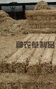 給樹干綁草繩有什么影響？